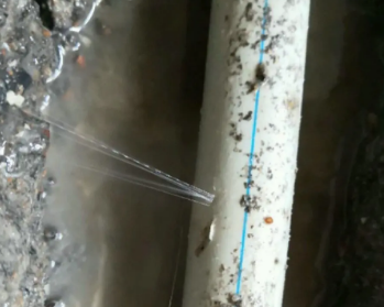 钦南卫生间测漏水多少钱